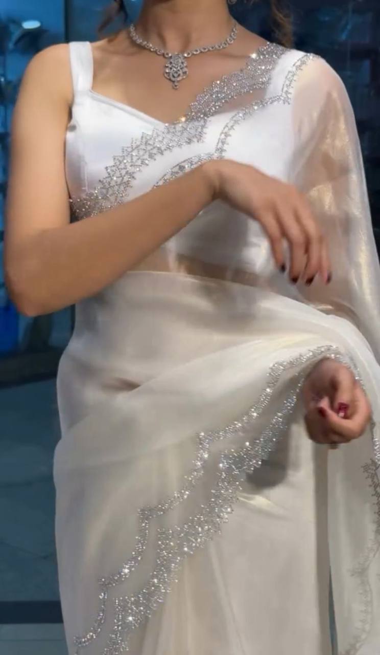 Rich Tissue Tweel Net Saree with Diamond Cutwork and Embroidered Blouse